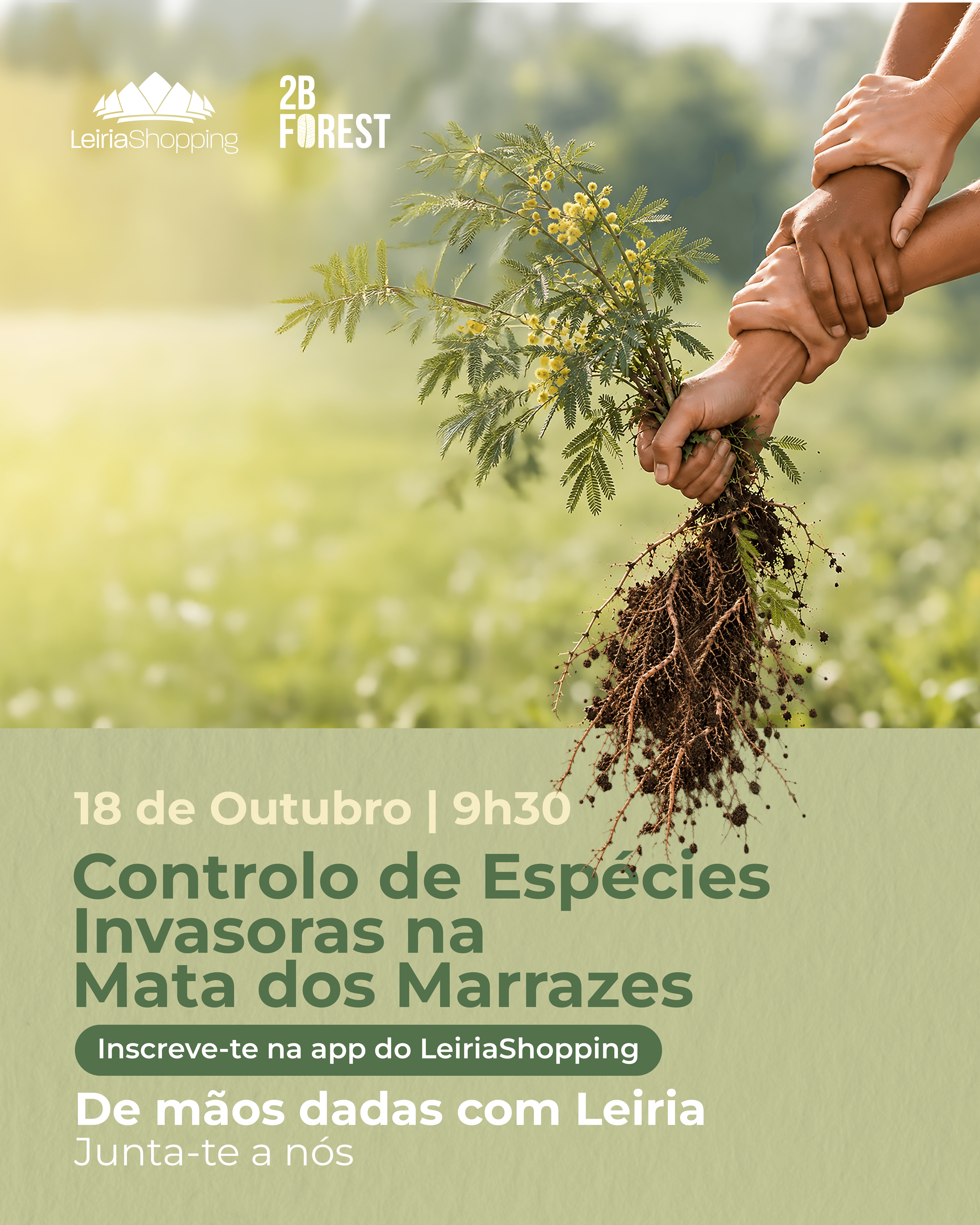 Campanha solidária do LeiriaShopping na Mata dos Marrazes
